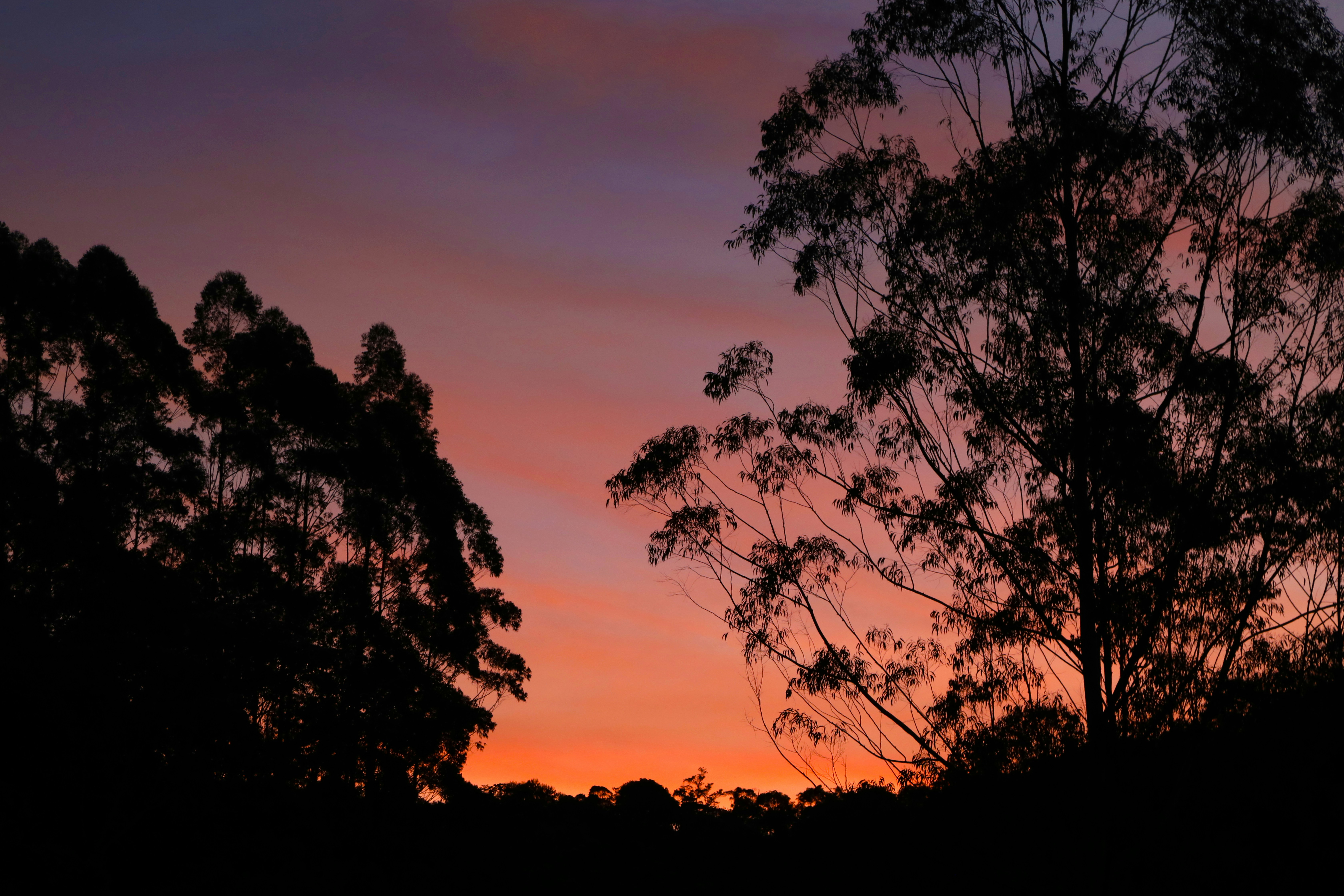 Photo by marcusdallcol