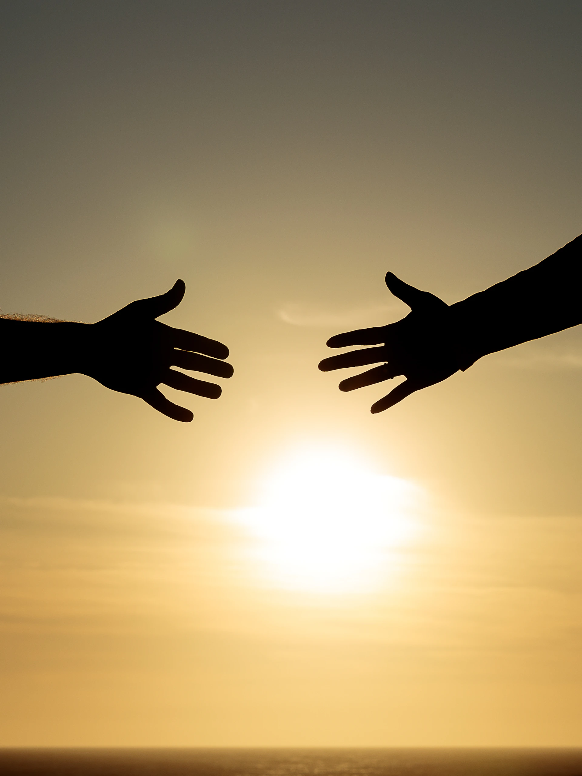 silhouette of persons hand