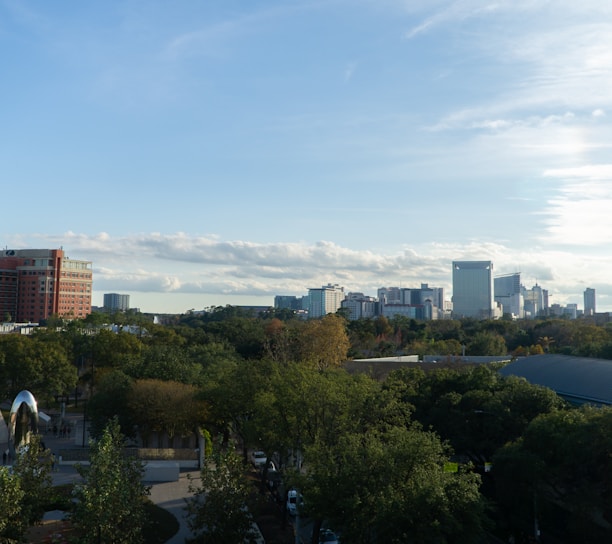 green trees near city buildings during daytime