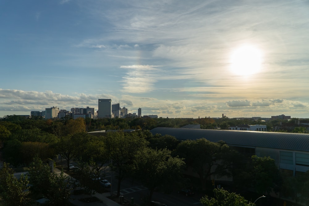 green trees and city buildings during daytime