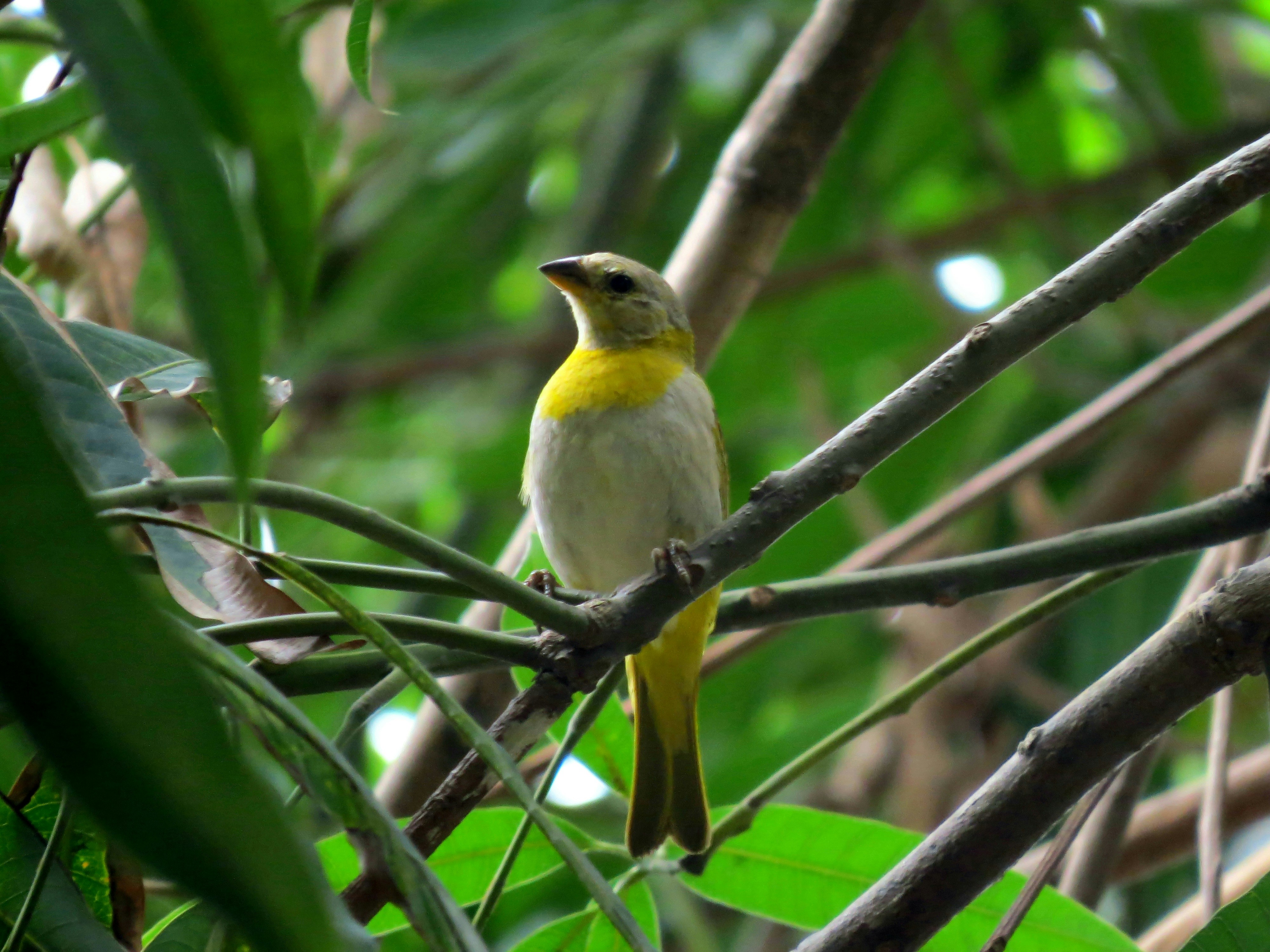 Photo by dienyportinanni