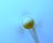 A circular ceiling fan in motion is captured from a directly underneath angle. The image highlights the central fixture and the blurred blades, which create a soft motion effect. The background is a soft blue, with subtle shadows cast by the fan blades.