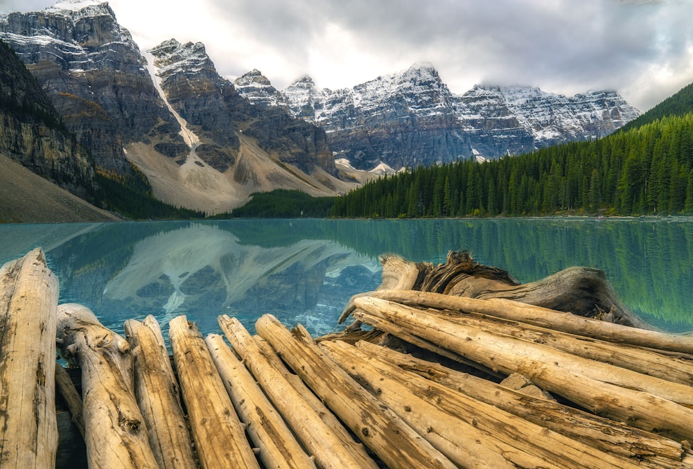 brown wood log near lake and mountain