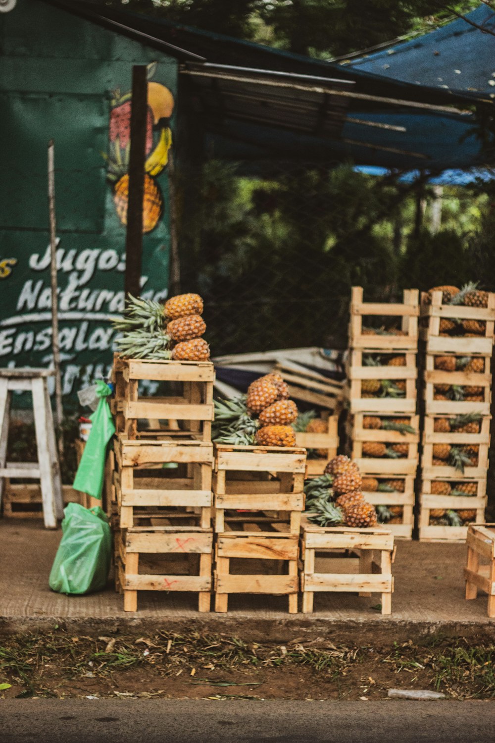 brown wooden crates with brown and green leaves