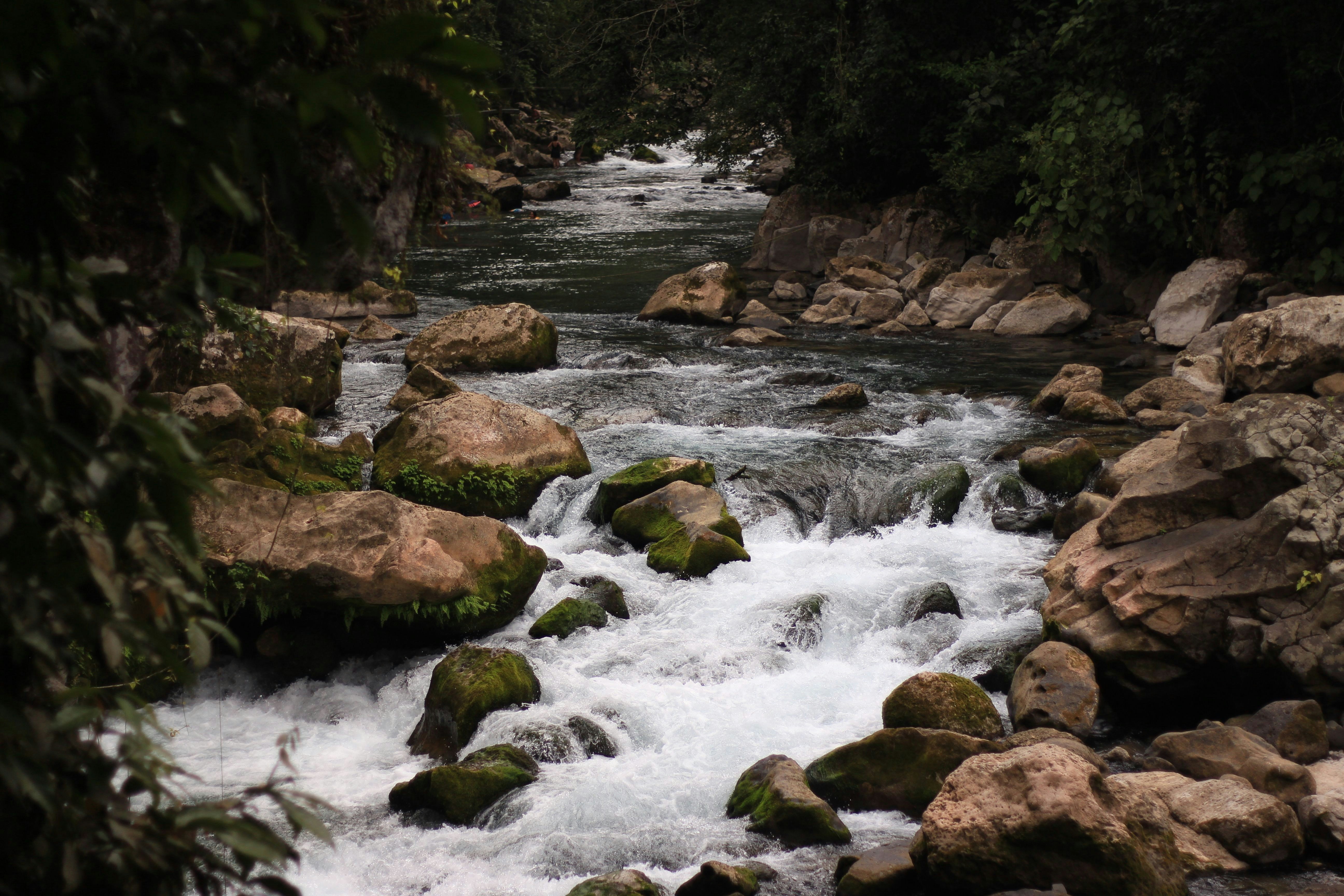 river in the middle of rocks and trees