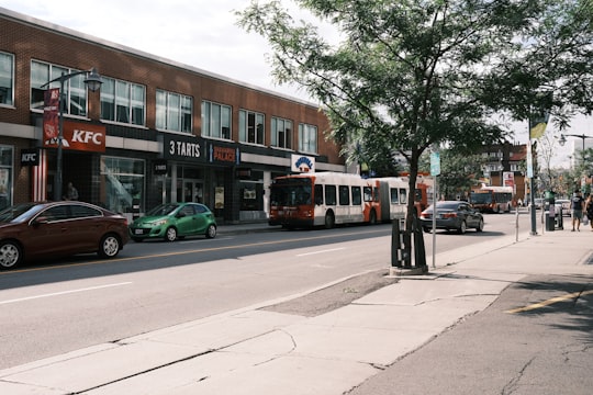 green station wagon parked beside green tree during daytime in Ottawa Canada