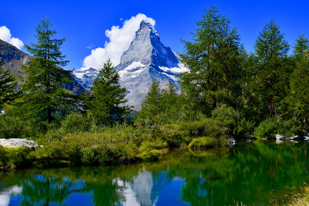 green trees near body of water and snow covered mountain during daytime