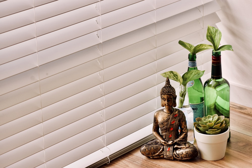 green plant on brown ceramic vase