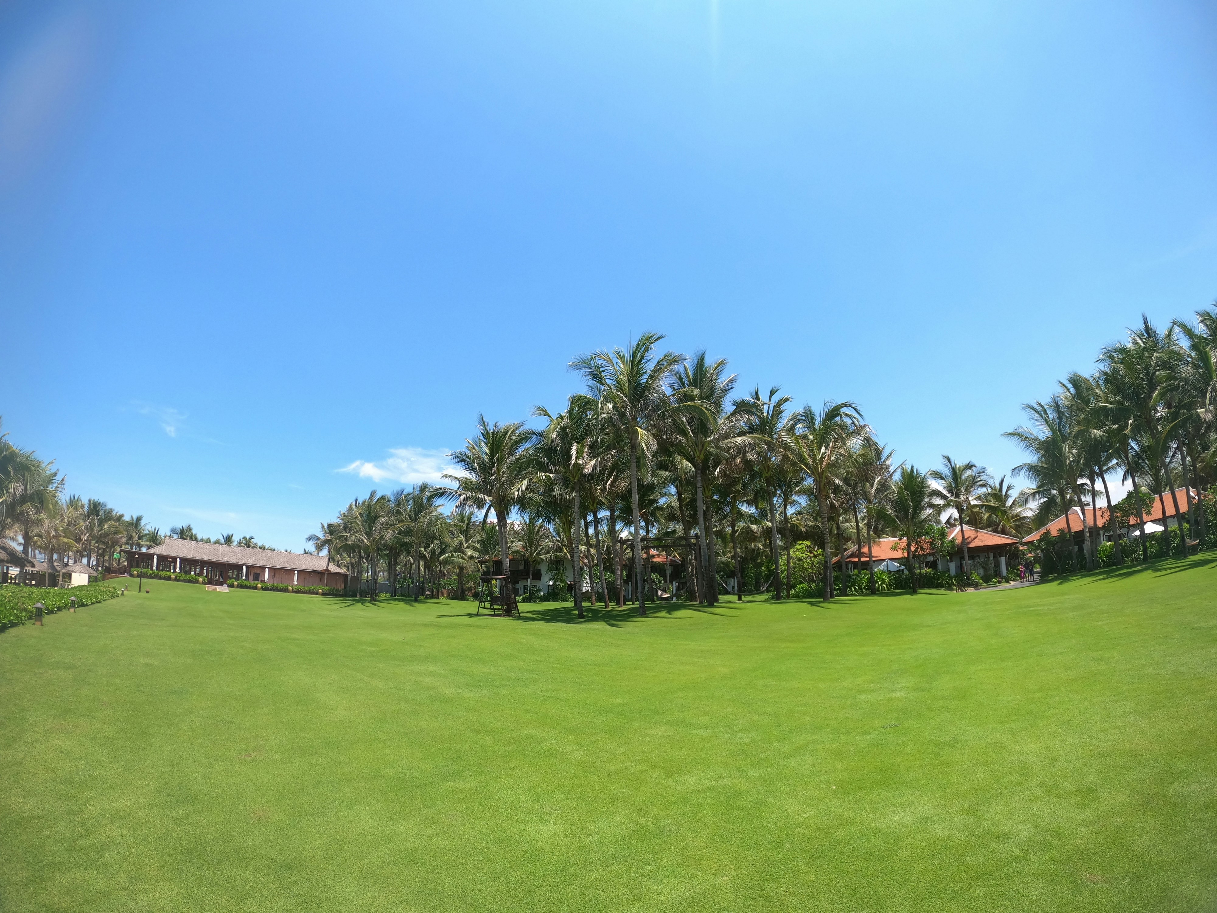 The Anam Lawn