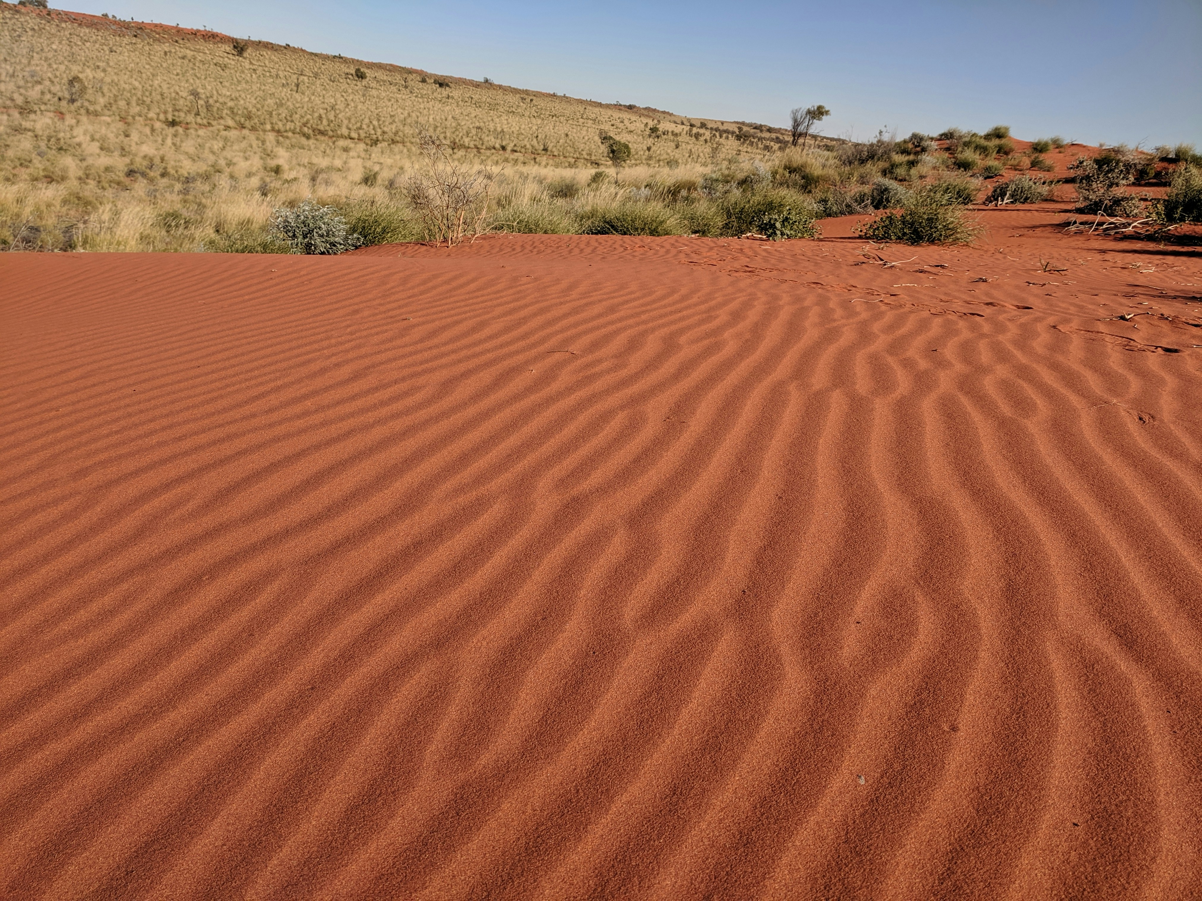 brown sand field during daytime, Sandhill near Windorah, Queensland outback
