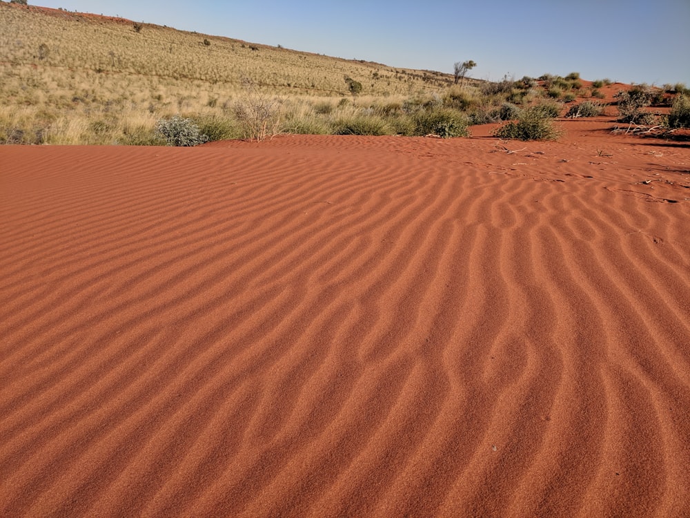 brown sand field during daytime