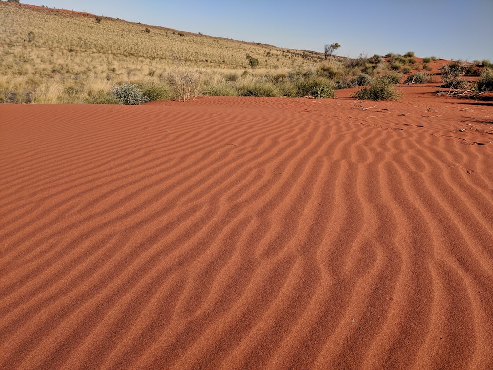 Campo de arena marrón durante el día