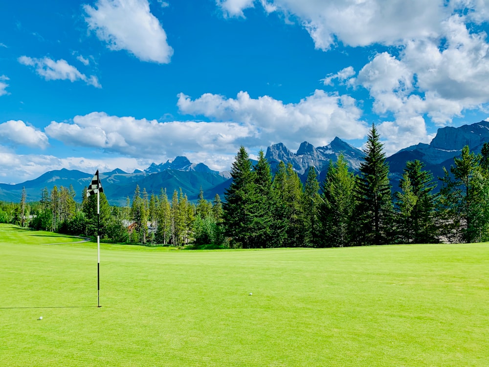 green grass field with trees under blue sky and white clouds during daytime