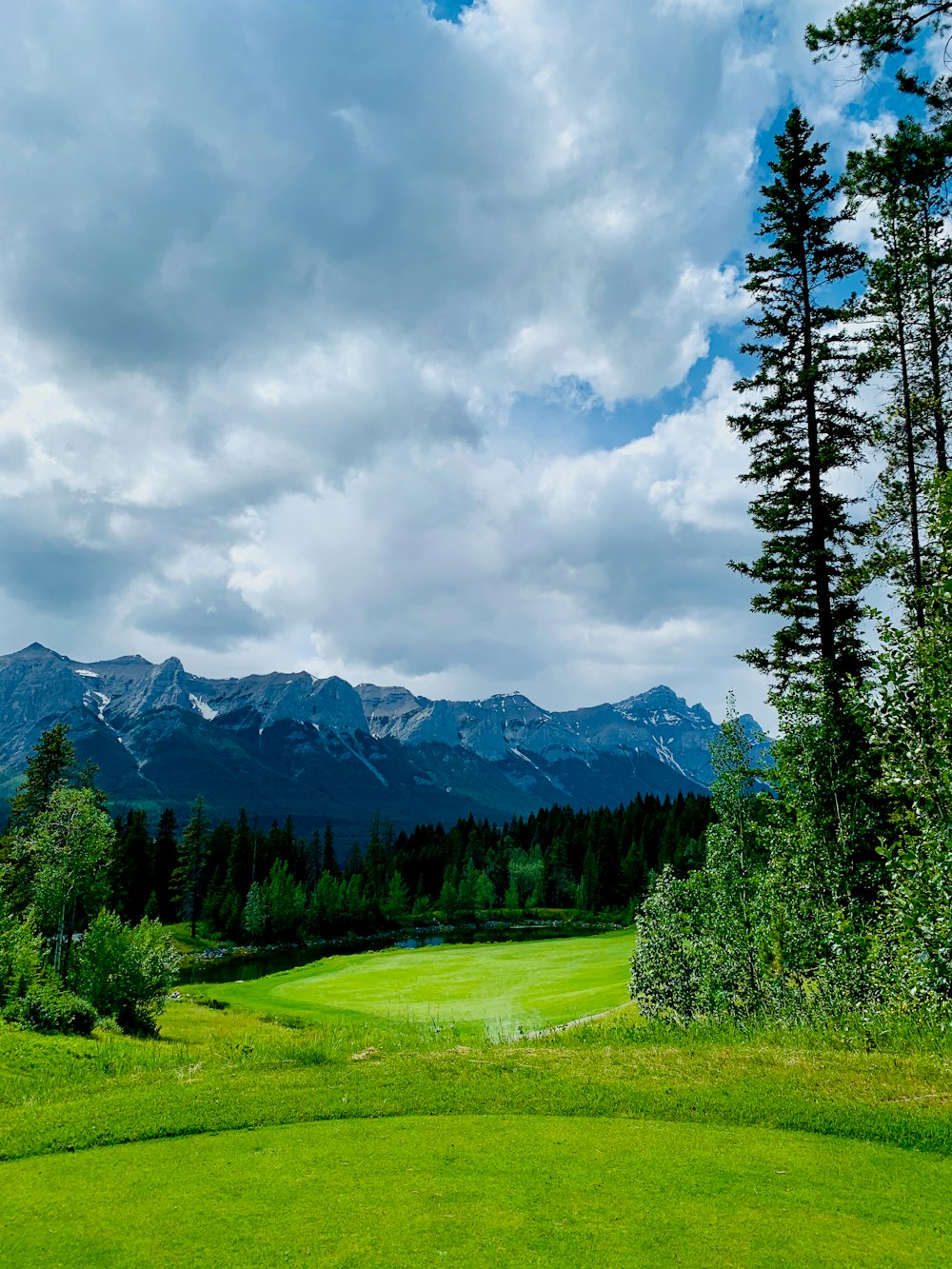 green pine trees near mountain under cloudy sky during daytime