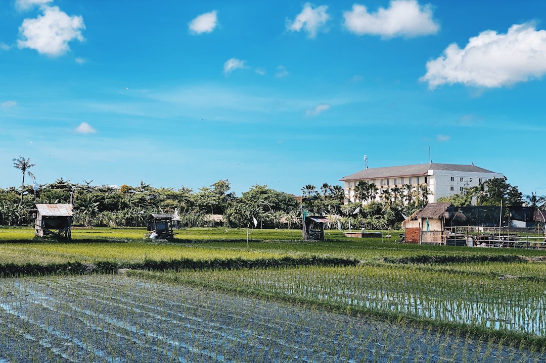 green grass field near houses under blue sky during daytime