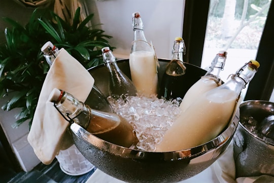 Glass bottles filled with different liquids are placed in a stainless steel bowl filled with ice cubes. The bottles have flip-top caps and are nested among decorative cloths, with a potted plant visible in the background.