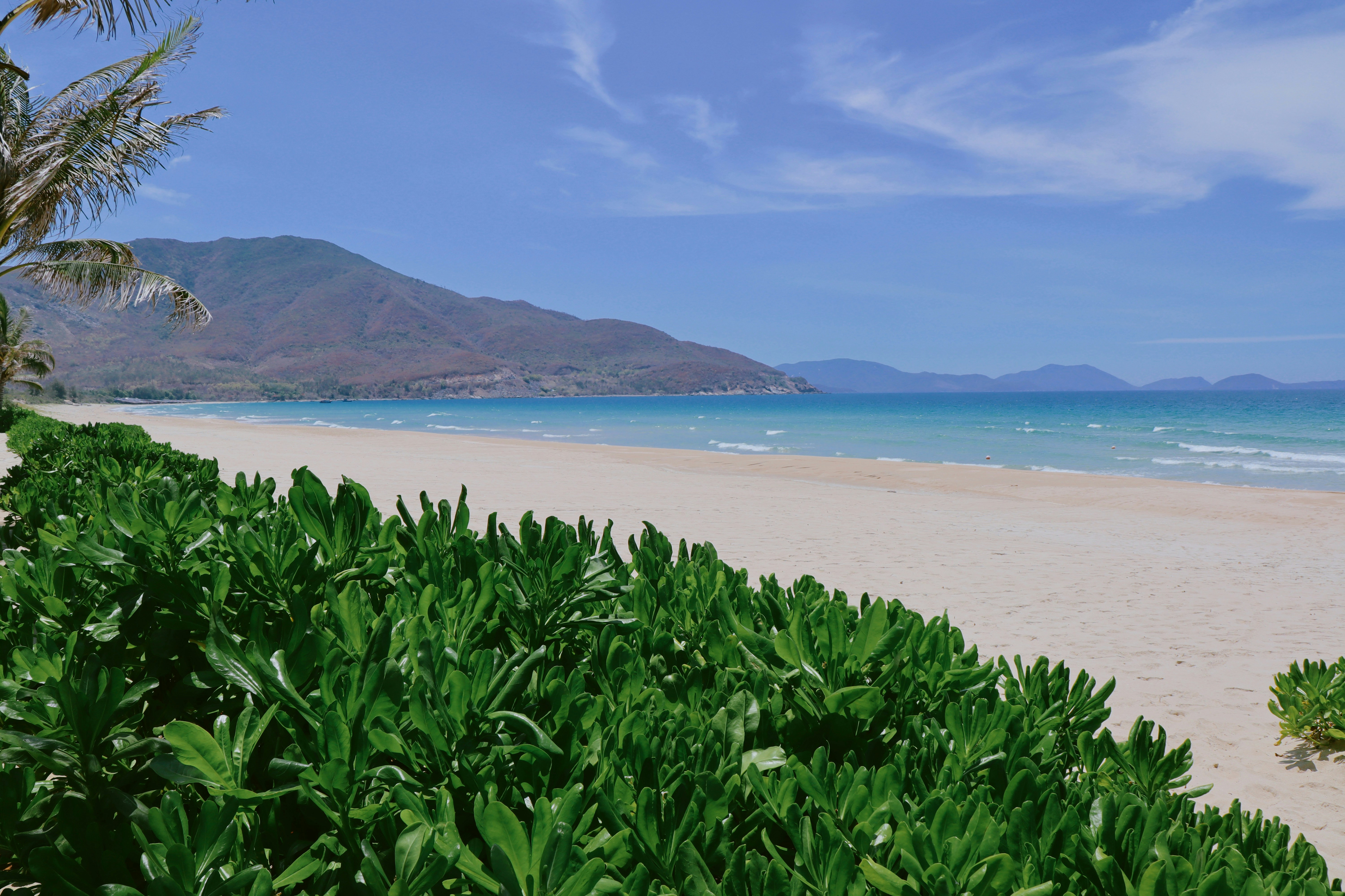 View of Hamoa Beach with lush vegetation and ocean