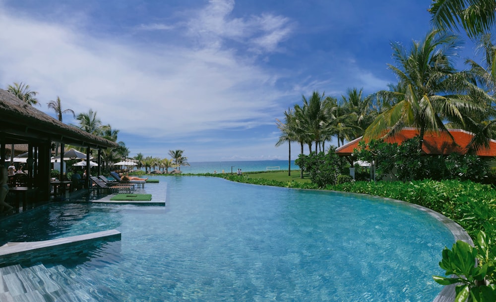 green palm trees near body of water during daytime