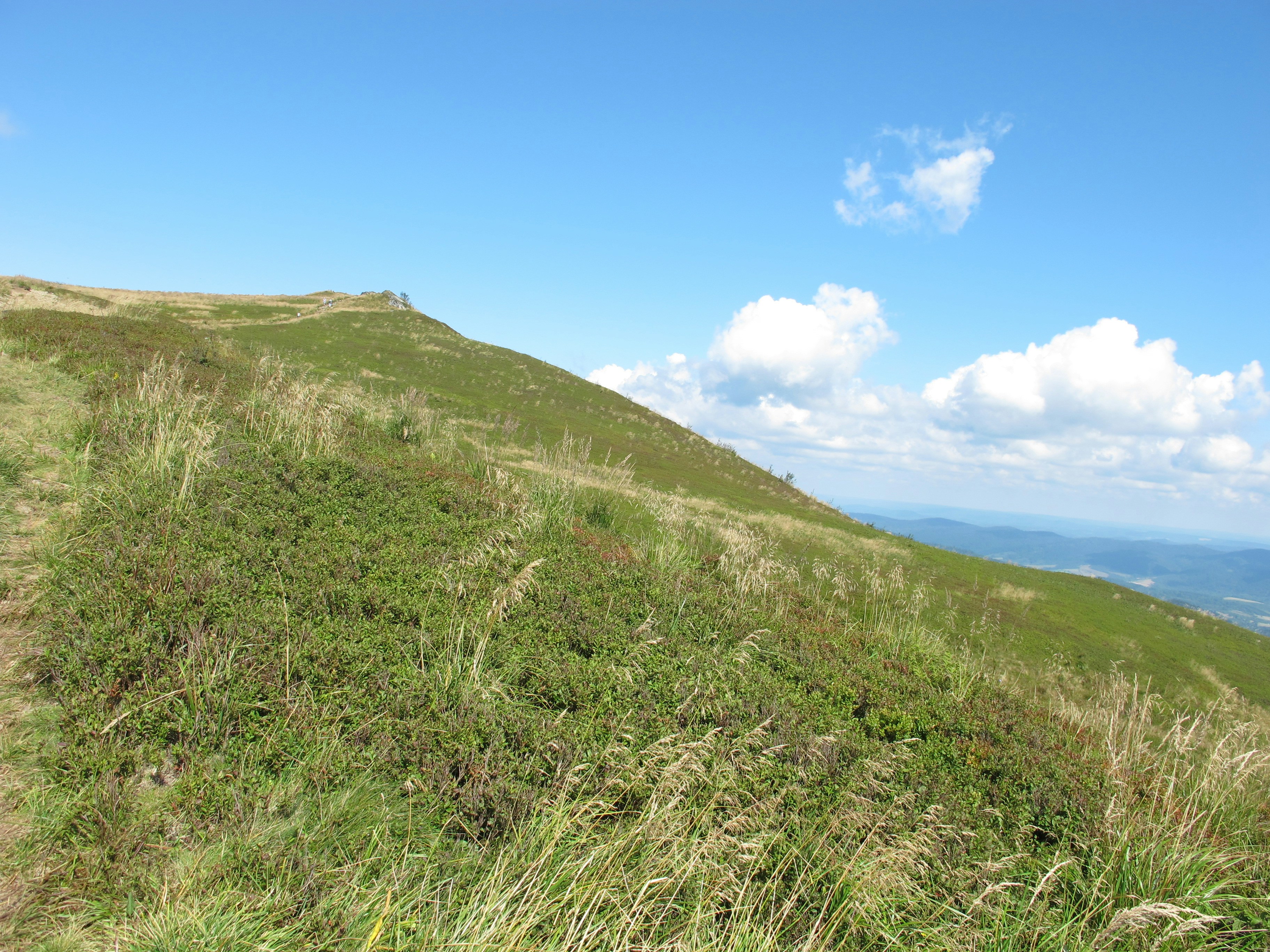 Photo by marek_ruczaj