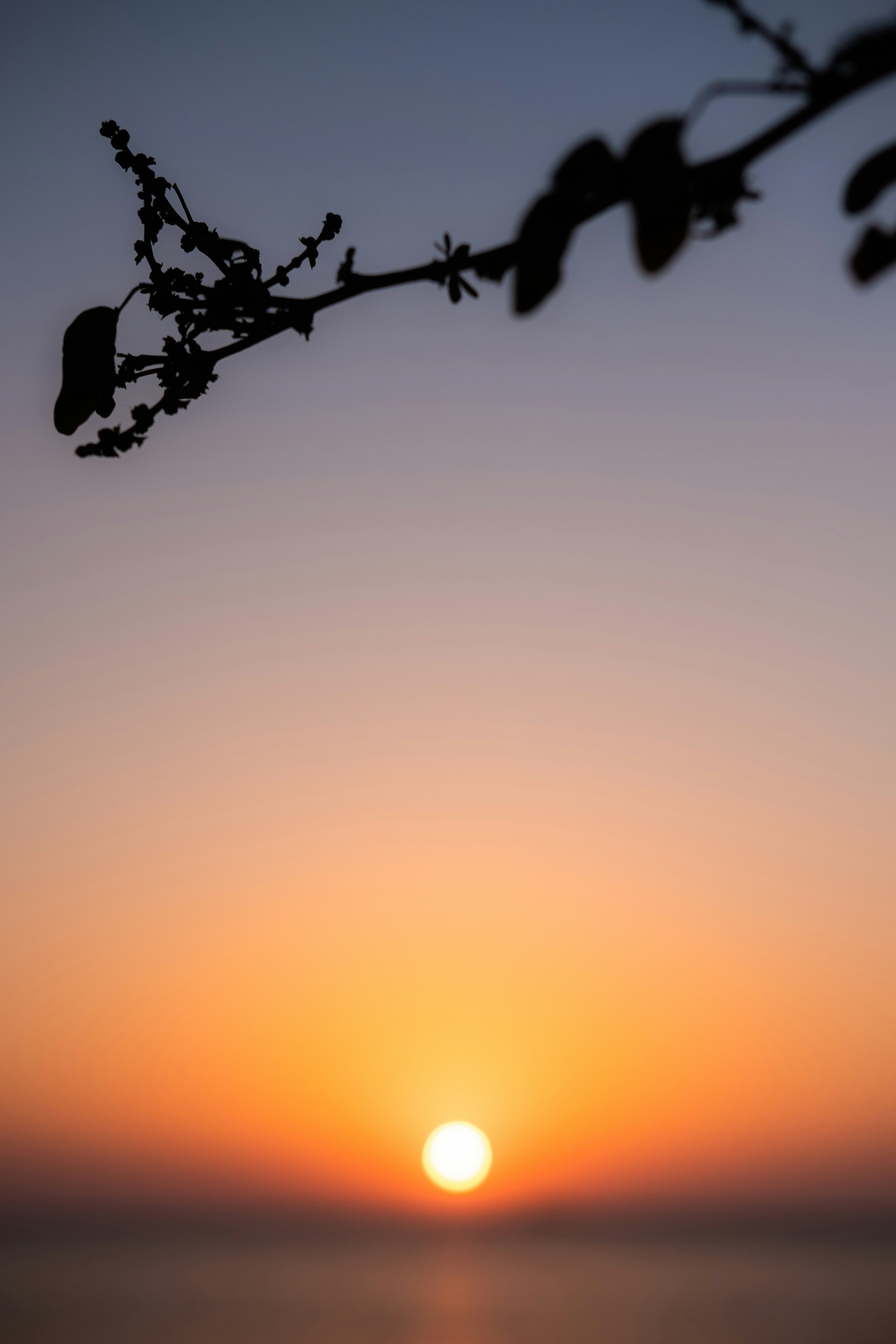 Photo by davidxplorer