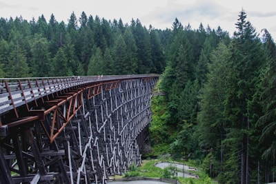brown metal bridge over green trees during daytime