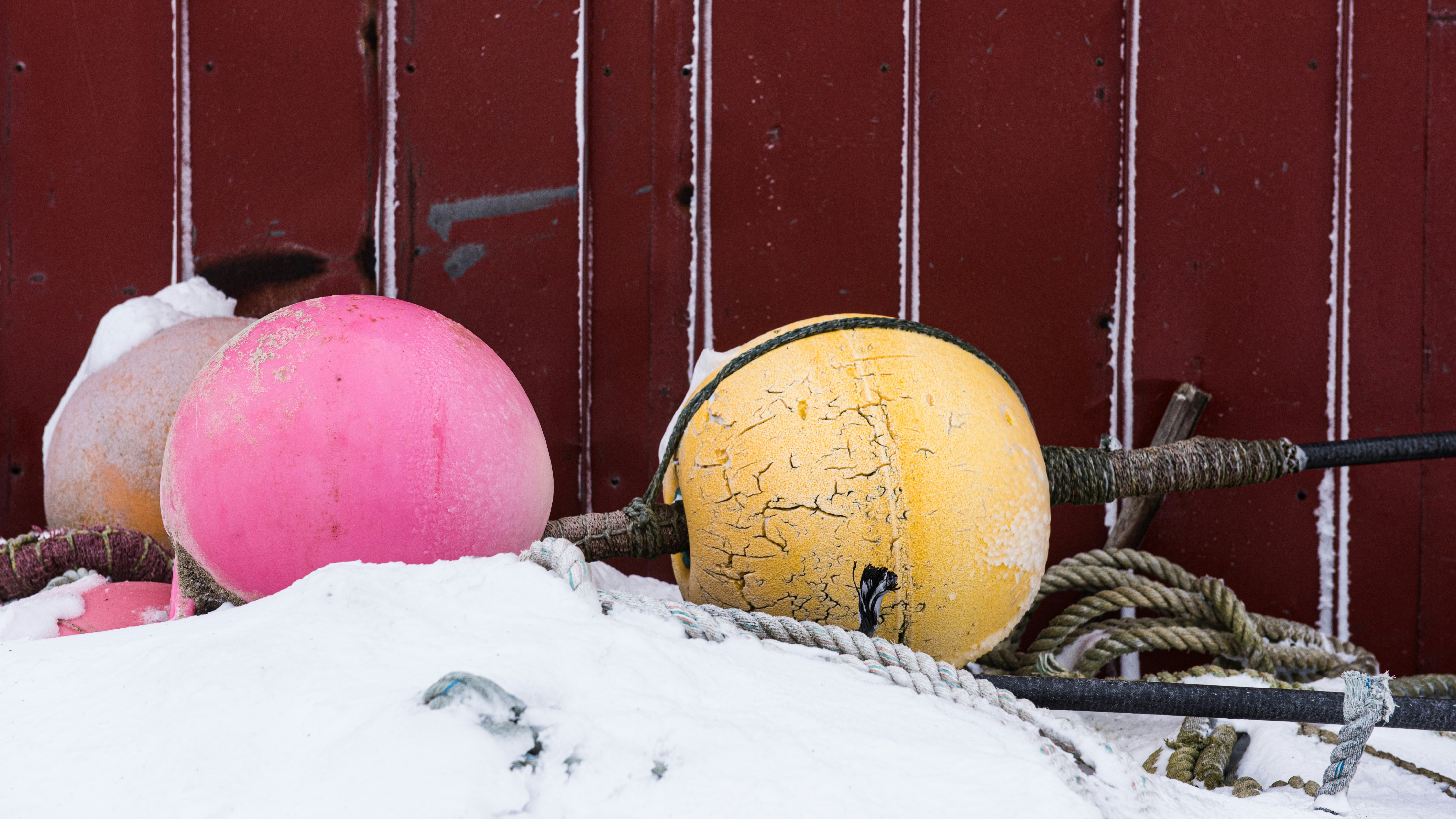 yellow red and blue balloons on white snow, colored buoys in front of a red fisherman shack