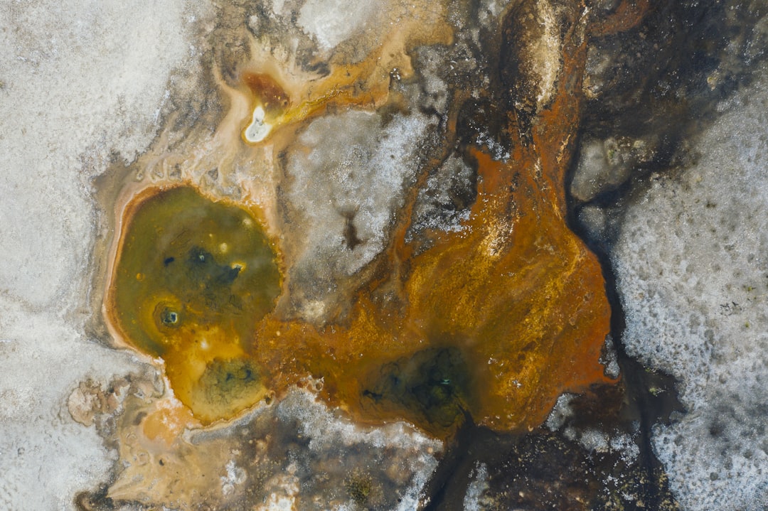 brown and white abstract painting, First set of photos from my visit to Yellowstone National Park in 2020. I loved the b