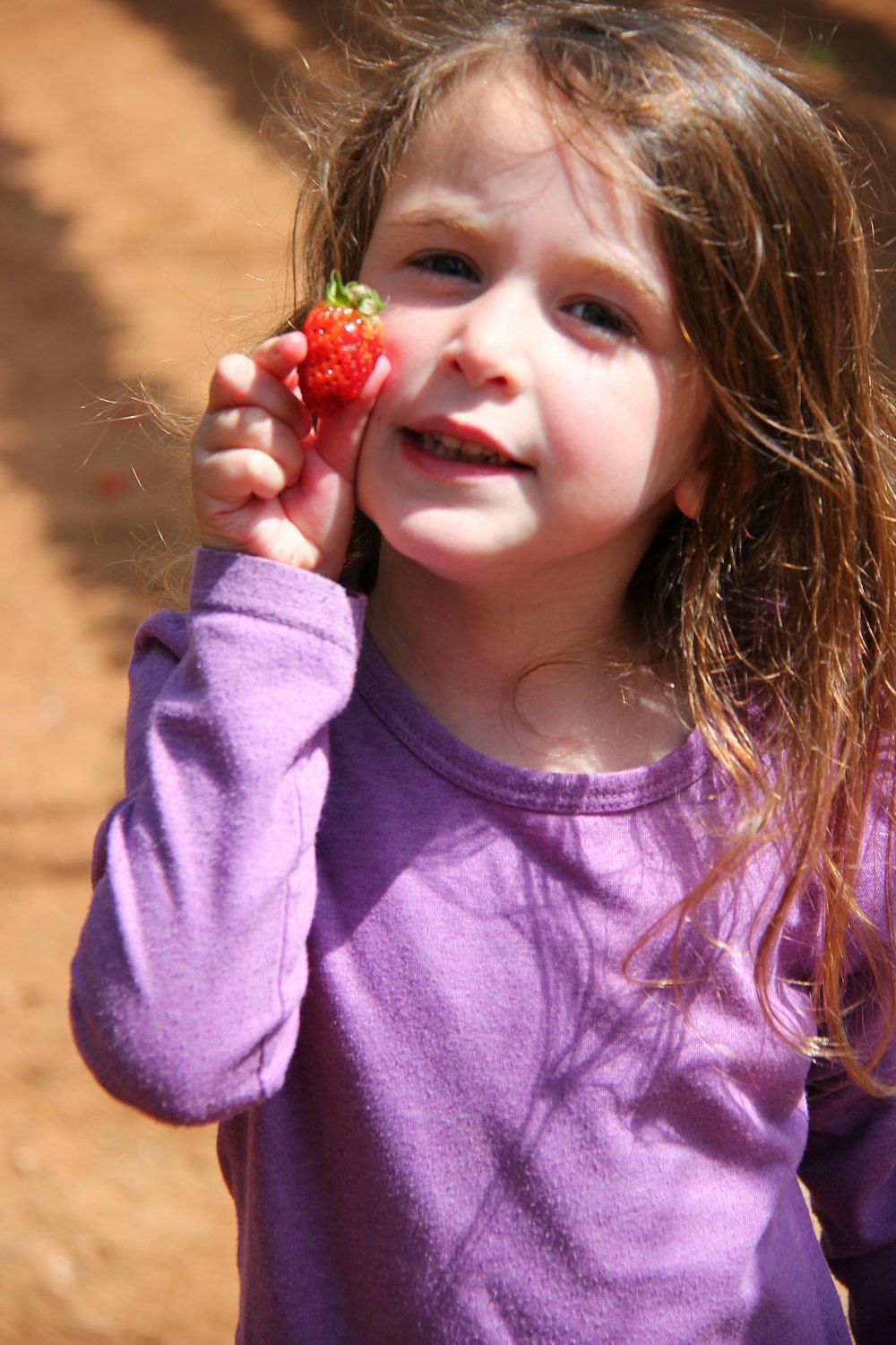 girl in purple long sleeve shirt holding red flower