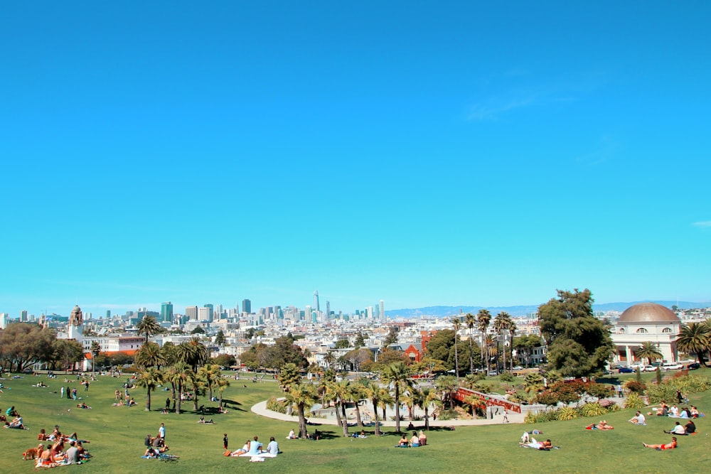 people sitting on green grass field during daytime