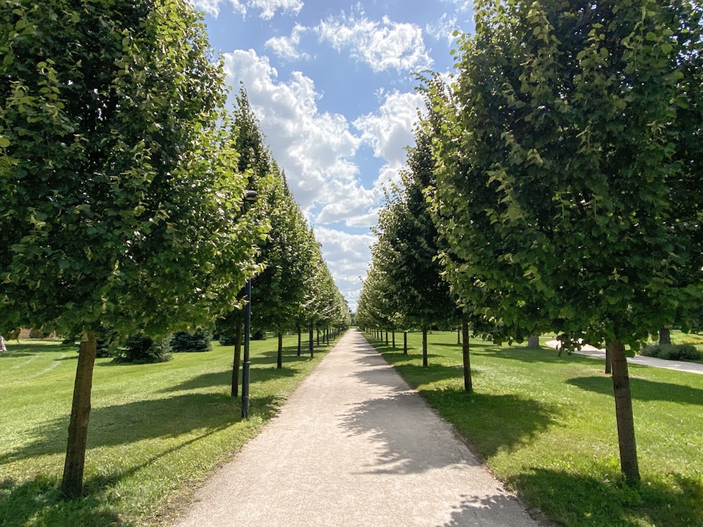 gray concrete pathway between green grass field and trees under blue sky and white clouds during