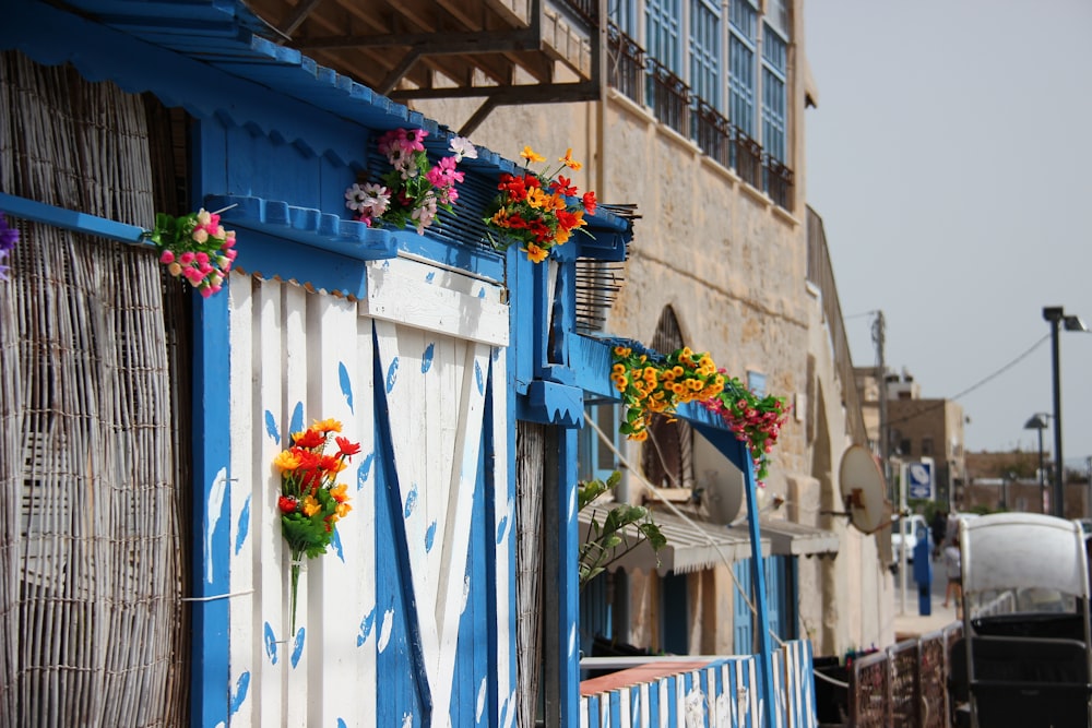 blue wooden fence with flowers