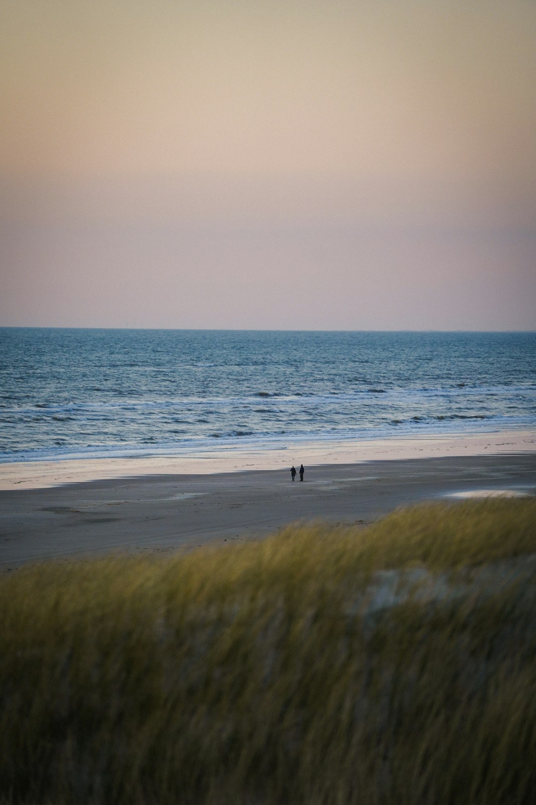 person walking on seashore during daytime