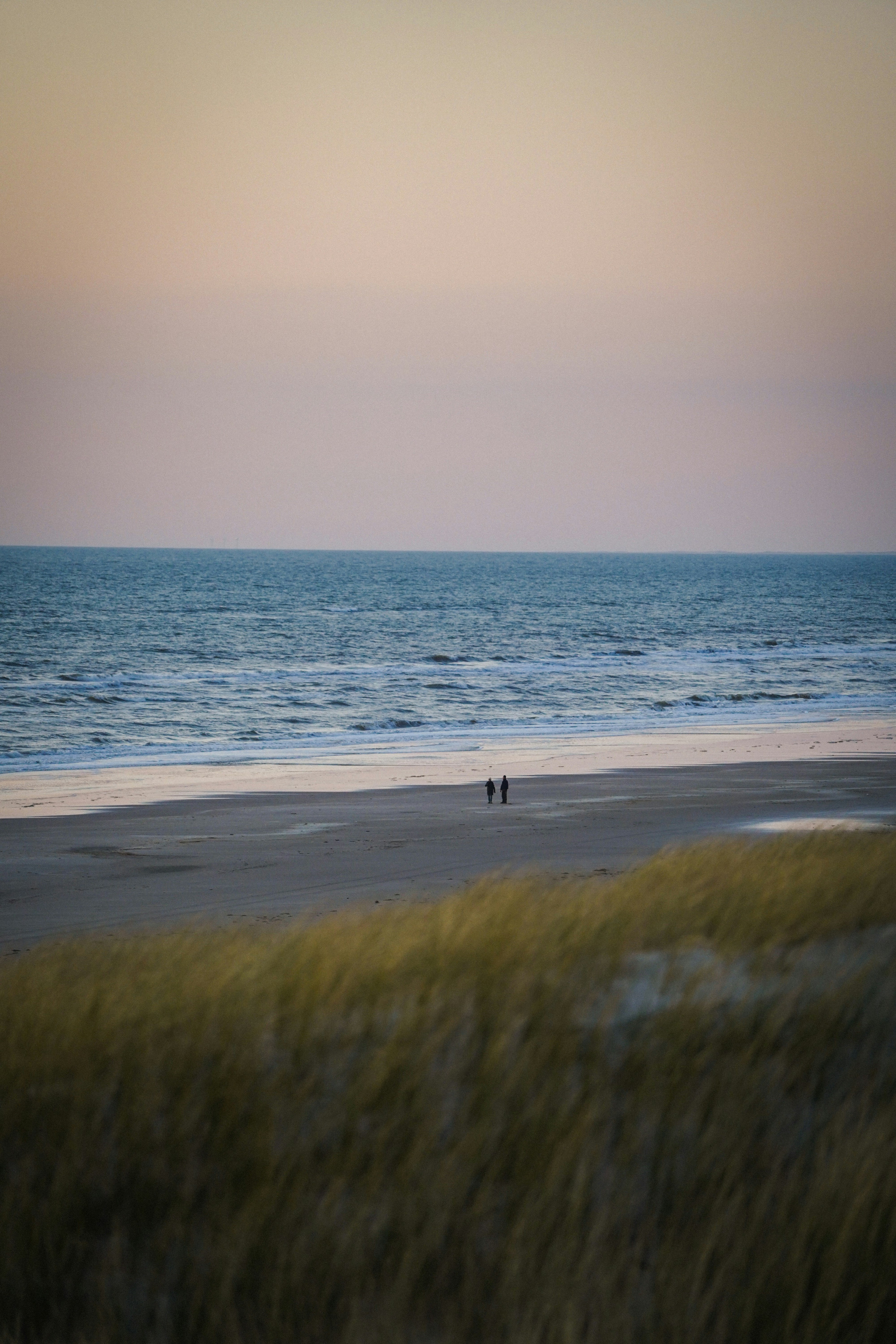 person walking on seashore during daytime