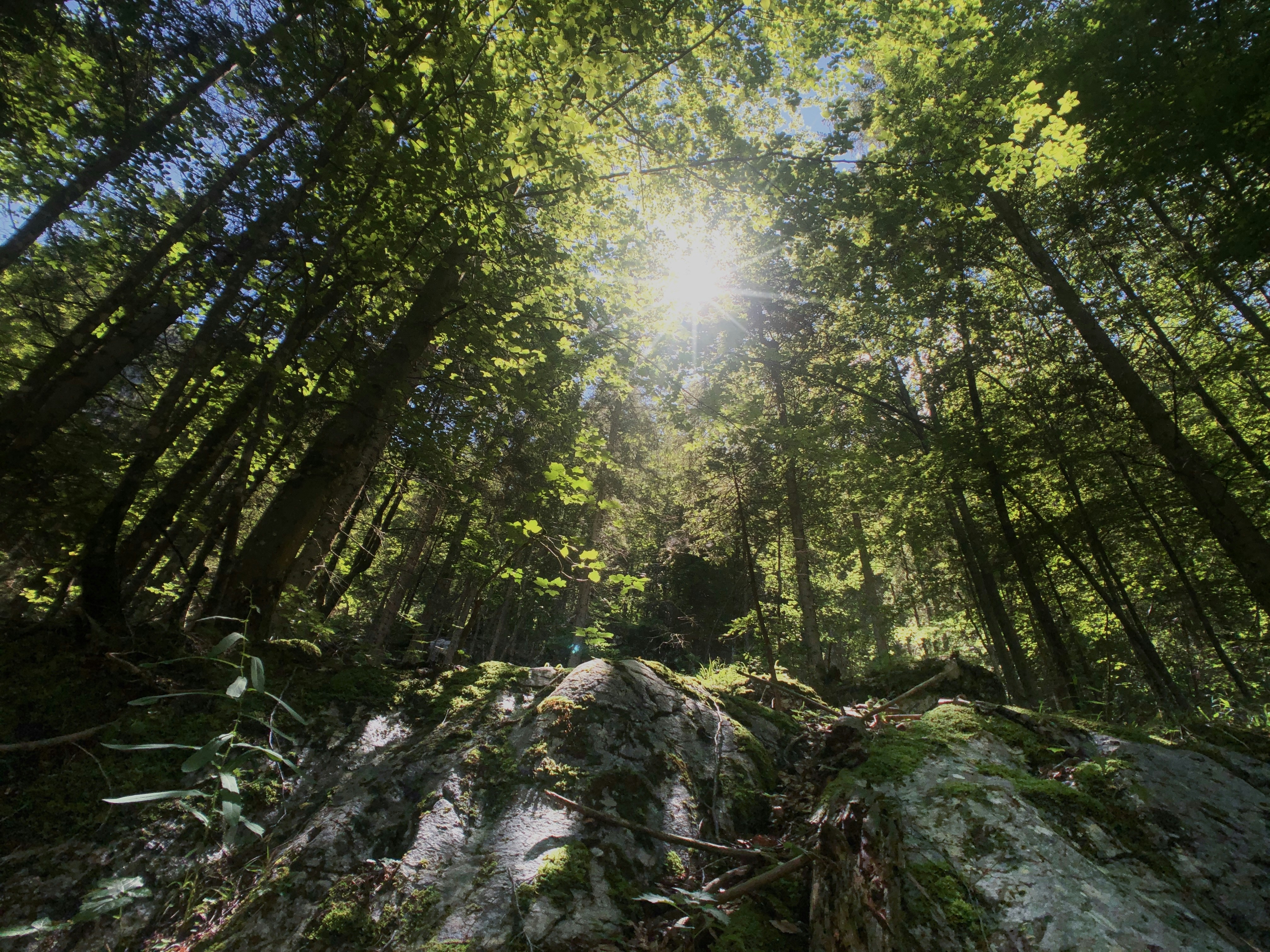 Photo by jindrichsamec