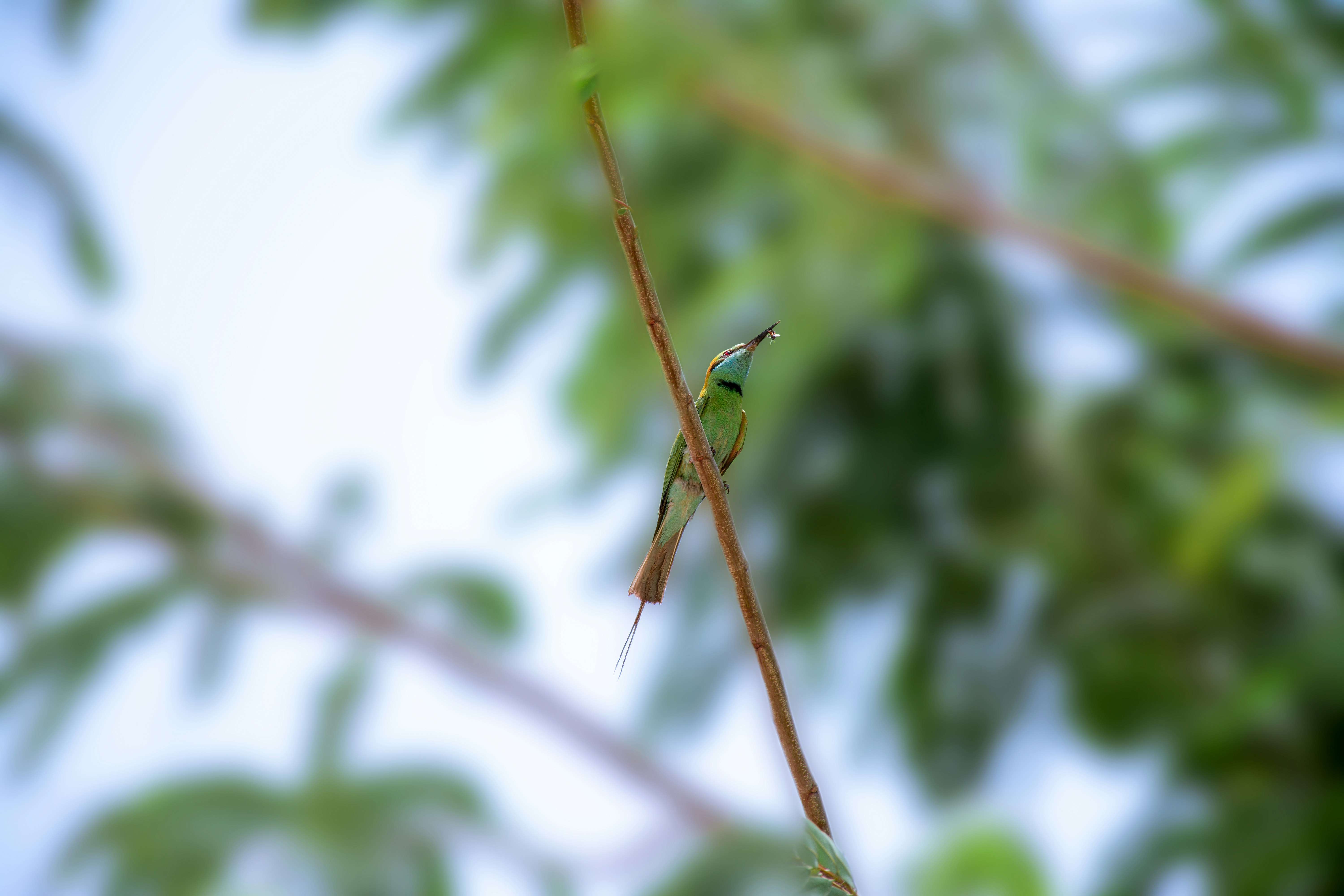 Photo by reetaish_kumawat