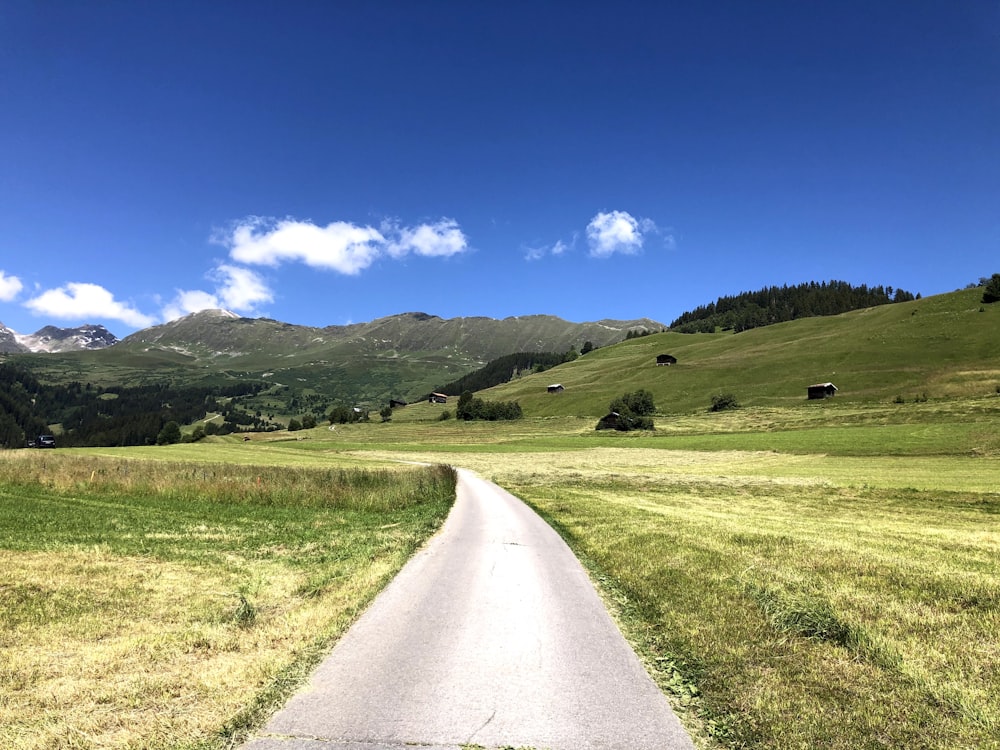 gray concrete road between green grass field under blue sky during daytime