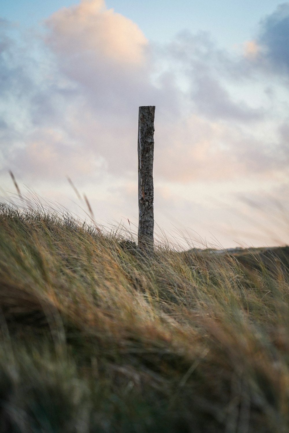 brown wooden post on green grass field under white clouds during daytime