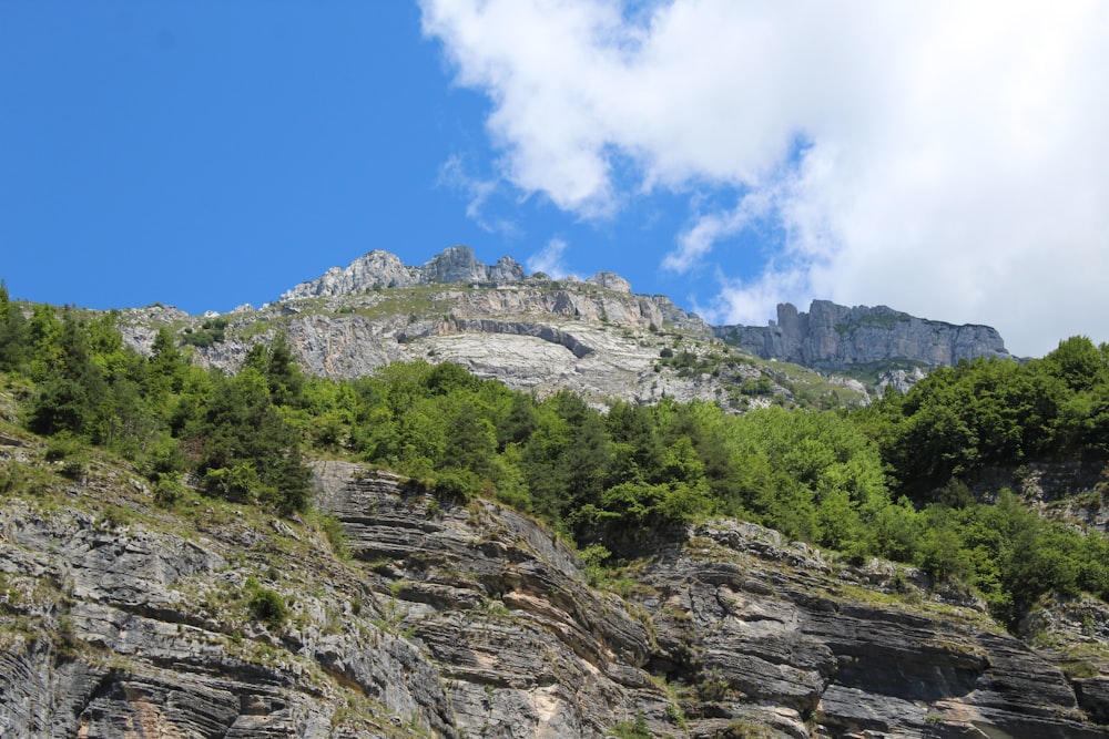 green trees on rocky mountain under blue sky during daytime