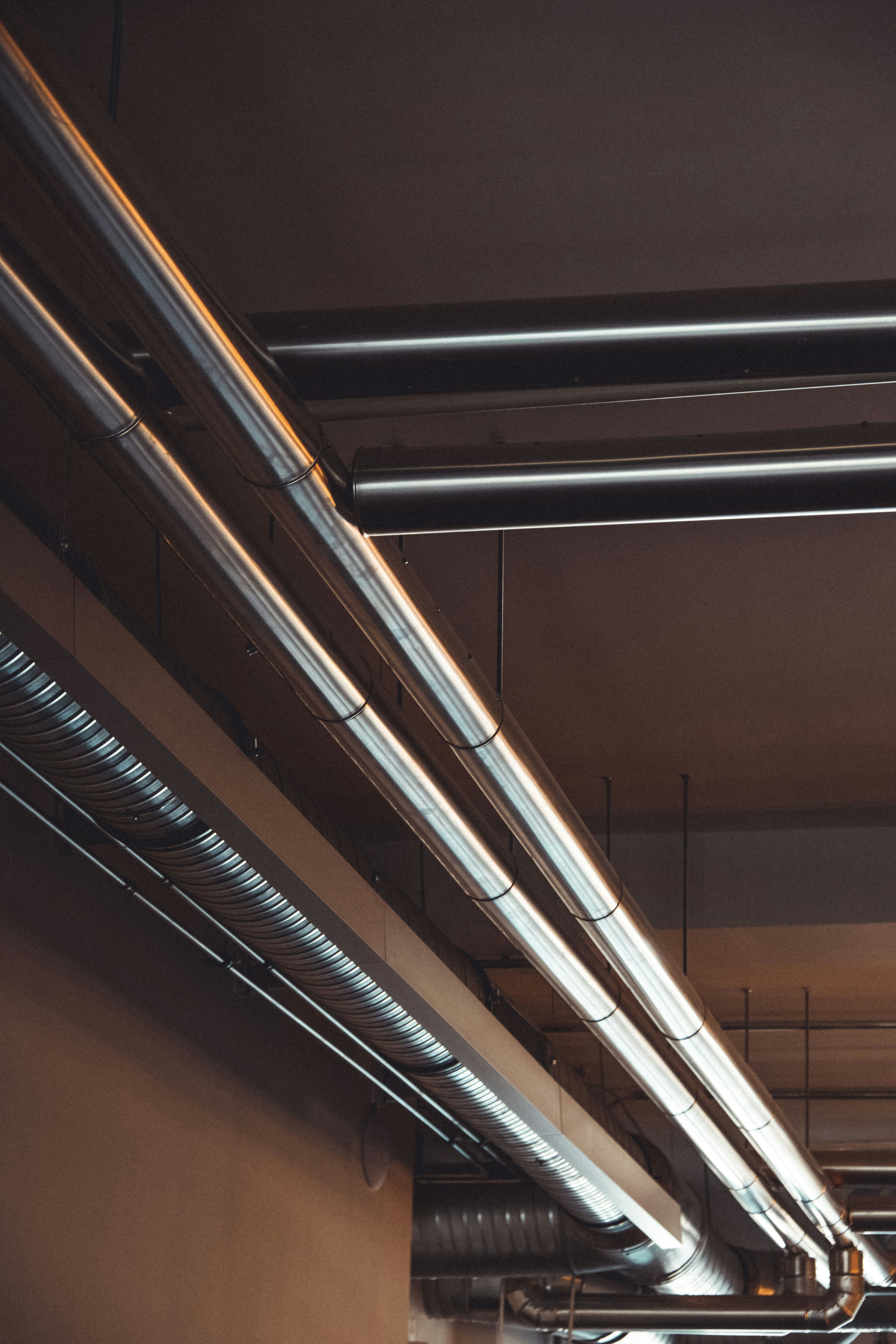 Photo by moritz_photography