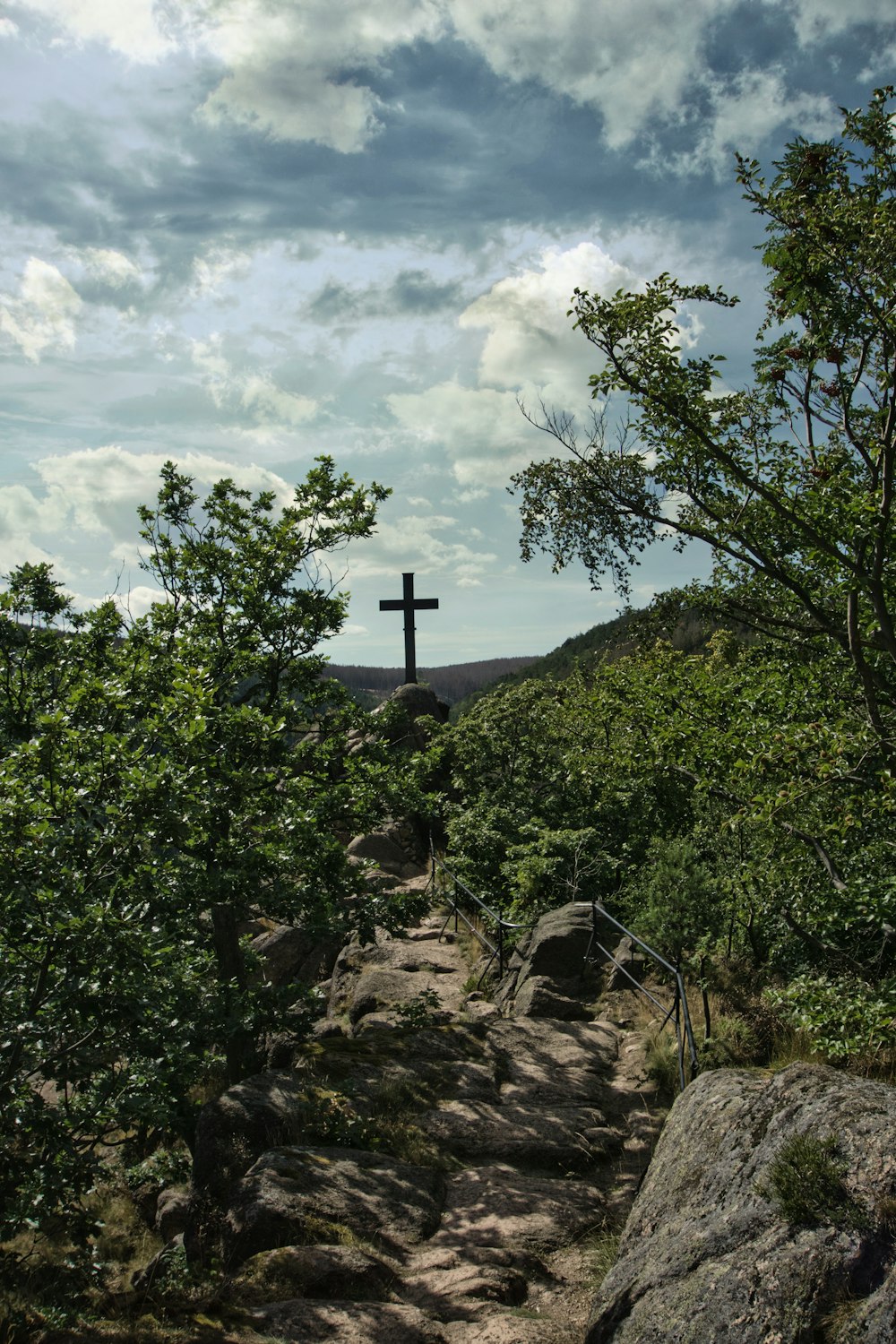 green trees on mountain under white clouds during daytime