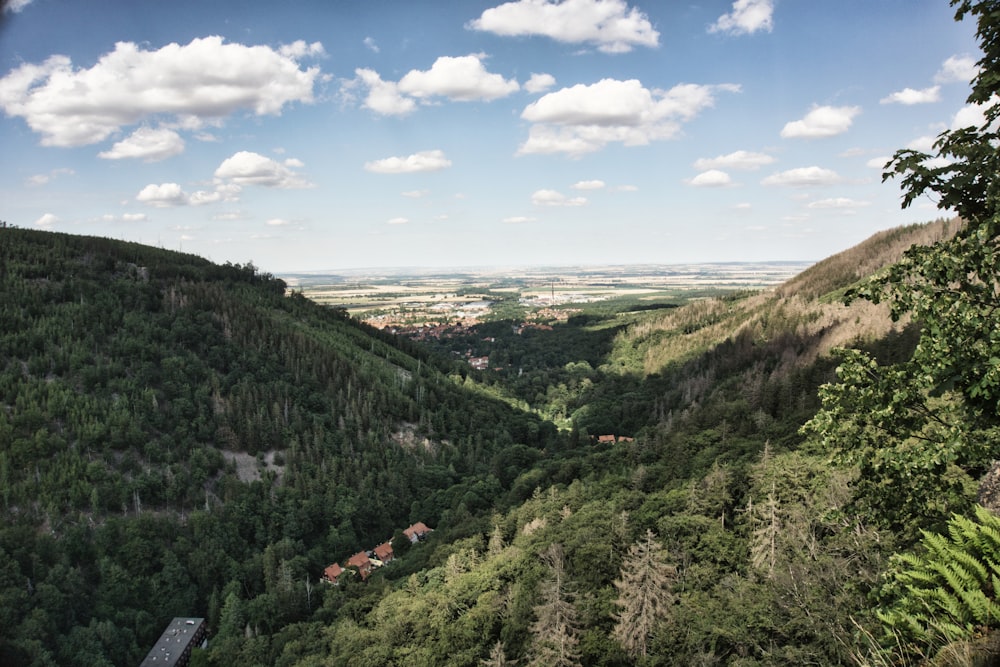 a scenic view of a valley and a forest