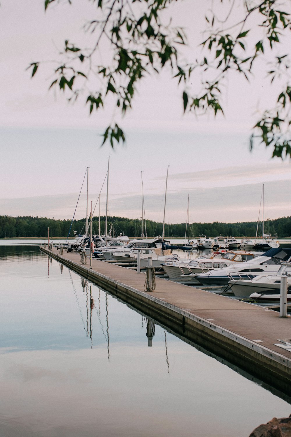 a body of water filled with lots of boats