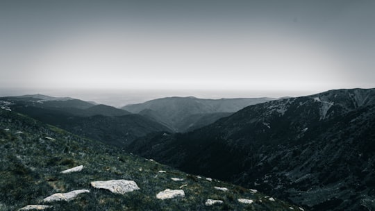 green and brown mountains under white sky during daytime in Transalpina Romania