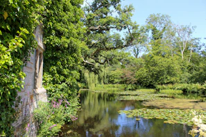 A gentle pond reflecting the surrounding greenery and memorial structures