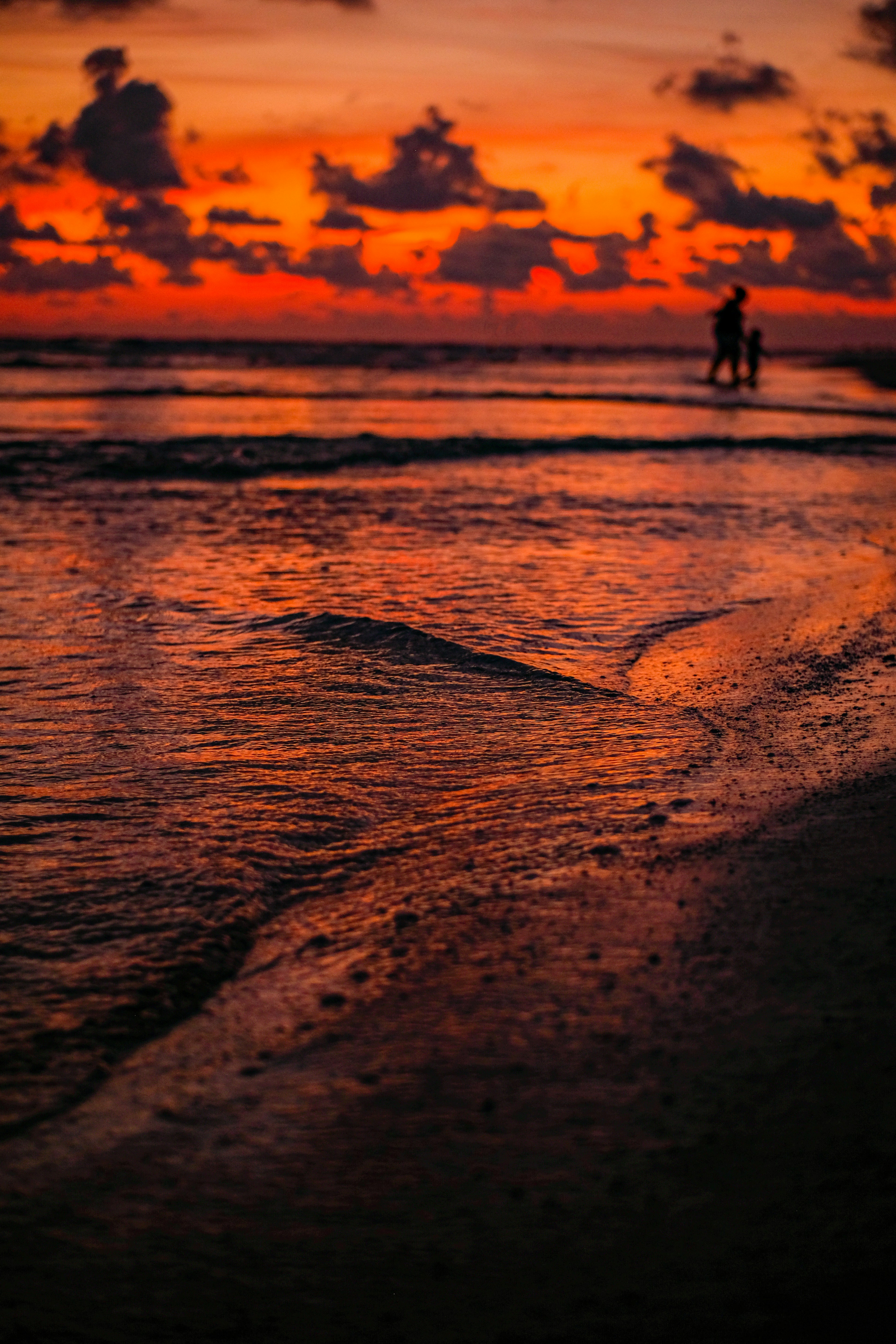 Lido Key Beach