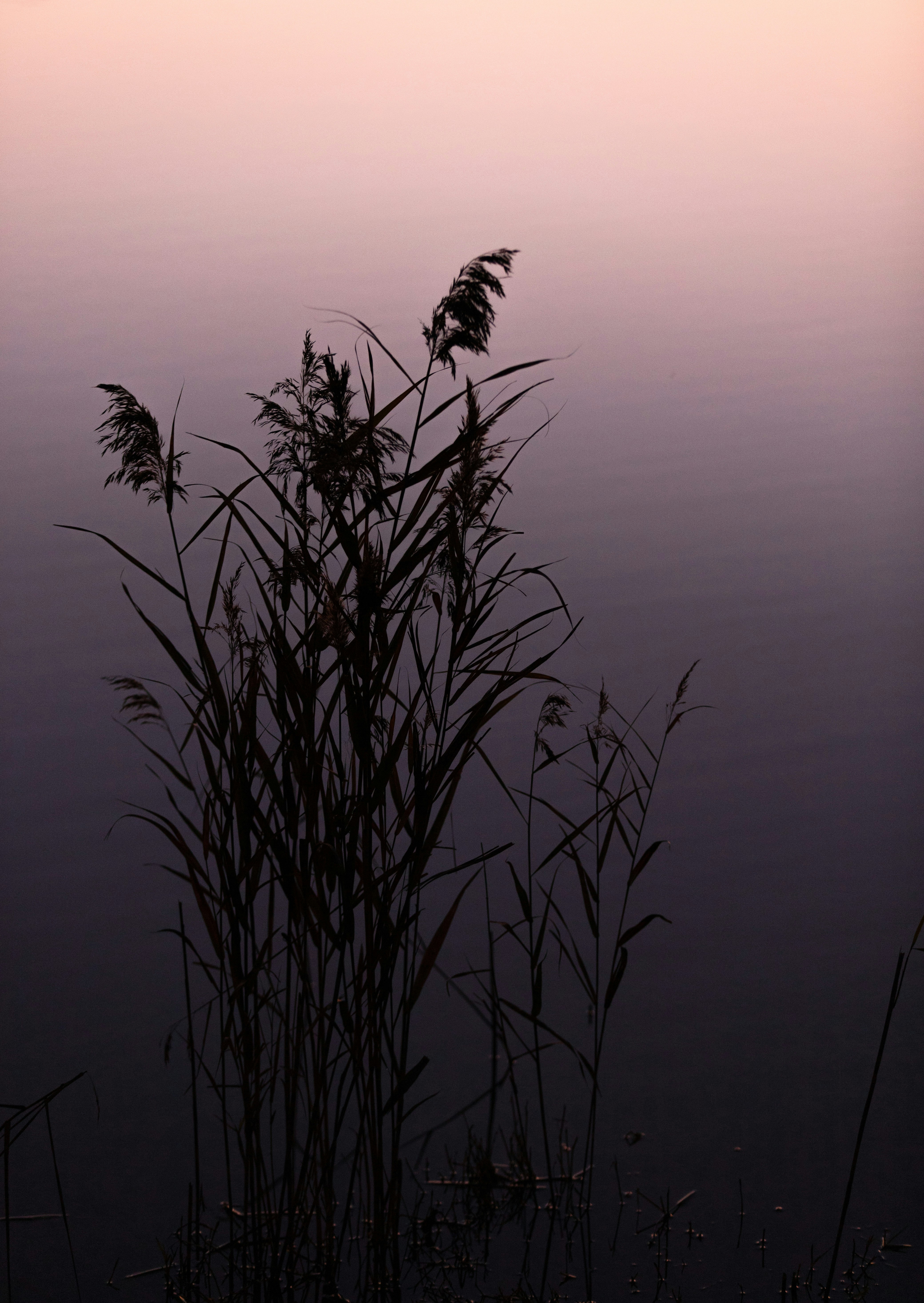 Photo by mitchel3uo