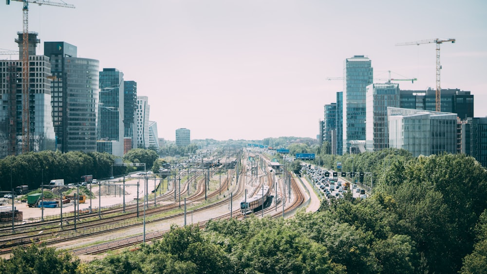 city buildings and green trees during daytime