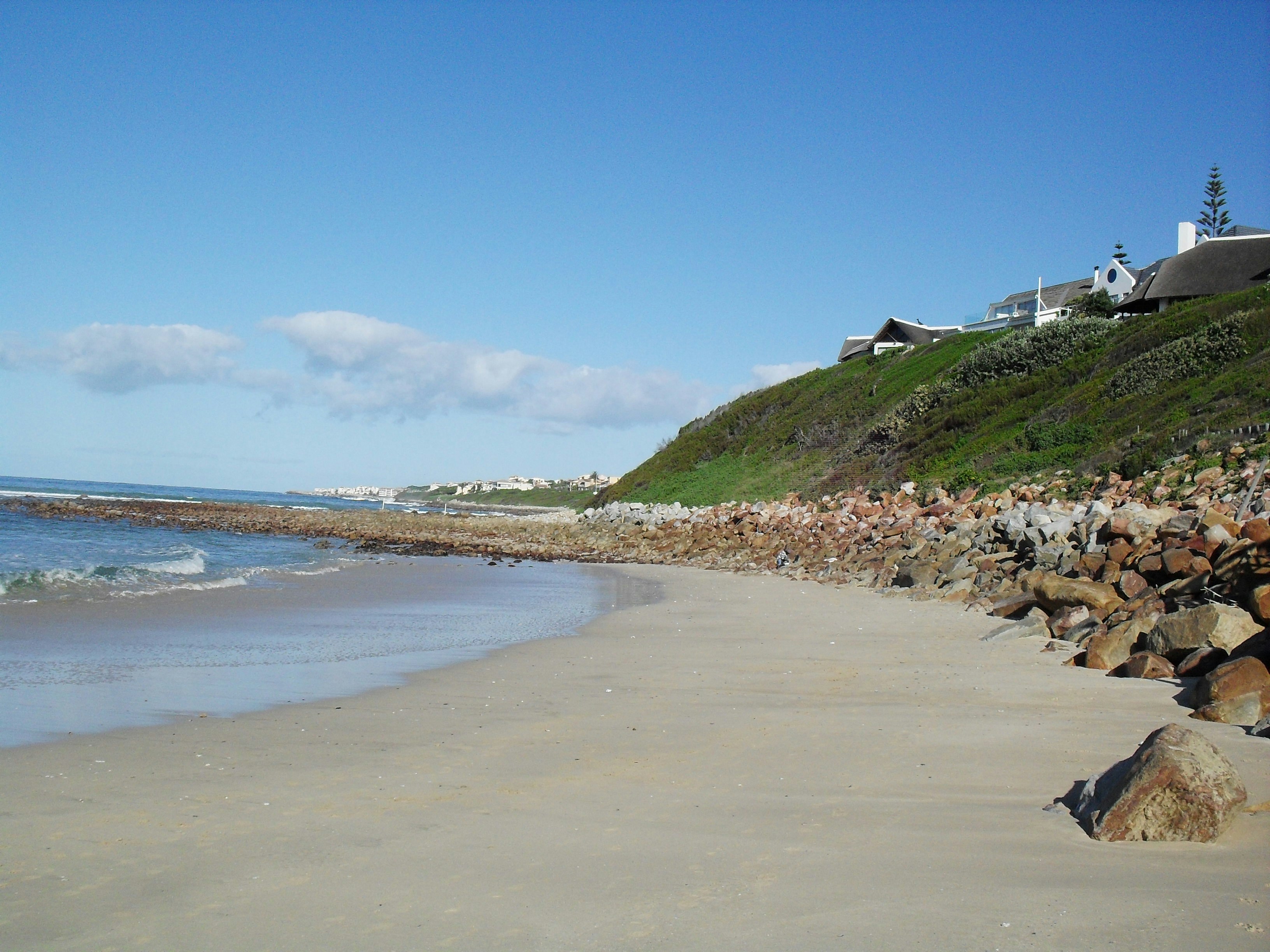people on beach during daytime