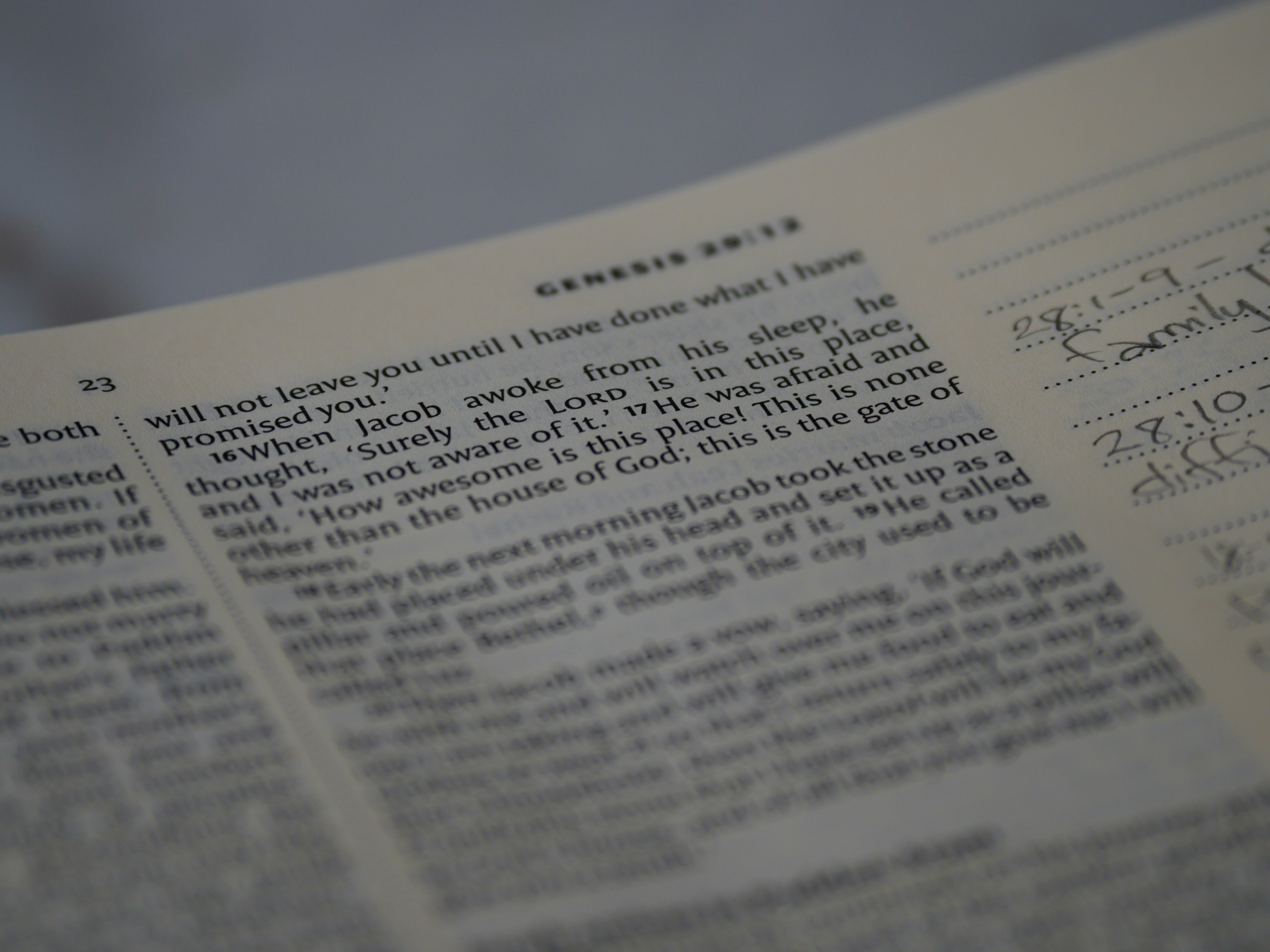 Kei Miller, "Book of Genesis"