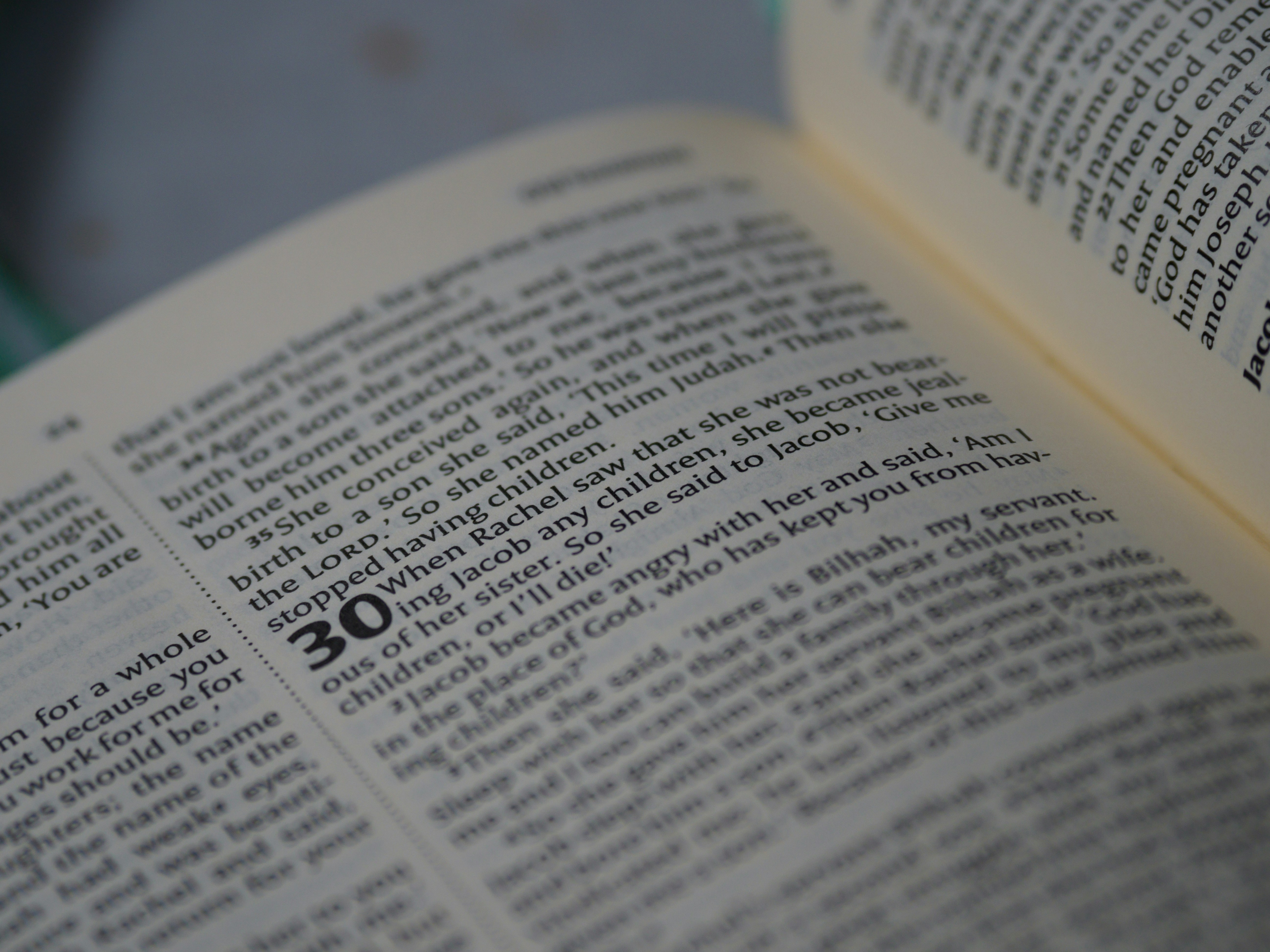 Photo by brett_jordan